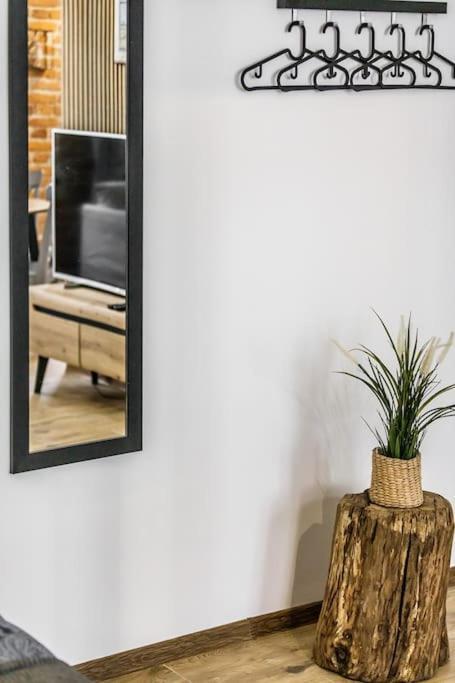 Rzeznicza 24 Apartment Вроцлав Екстериор снимка